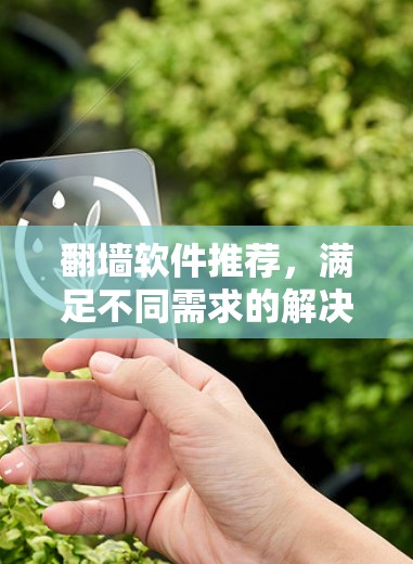 翻墙软件推荐，满足不同需求的解决方案