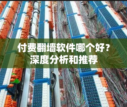 付费翻墙软件哪个好？深度分析和推荐