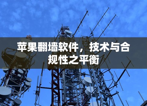 苹果翻墙软件，技术与合规性之平衡