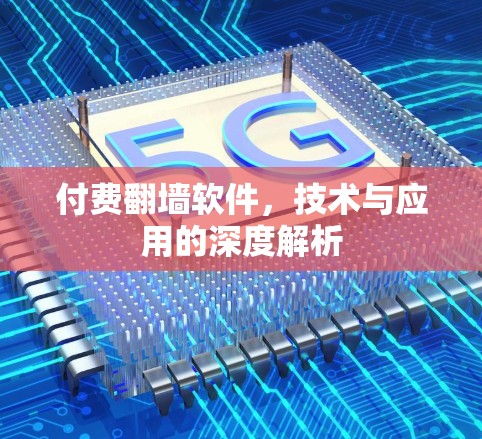 付费翻墙软件,技术与应用的深度解析