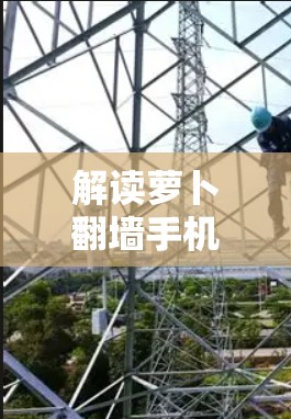 解读萝卜翻墙手机软件,技术原理与应用场景分析