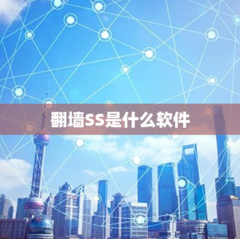 翻墙SS是什么软件