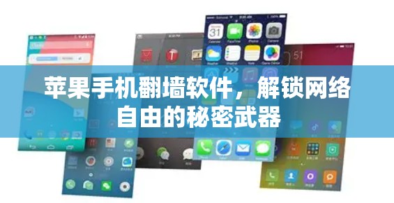 苹果手机翻墙软件,解锁网络自由的秘密武器