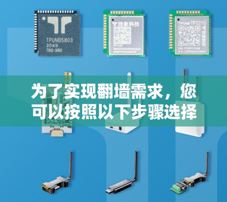 为了实现翻墙需求，您可以按照以下步骤选择并使用适当的工具
