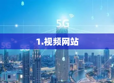 1.视频网站
