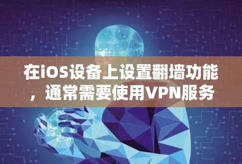 在iOS设备上设置翻墙功能，通常需要使用VPN服务。以下是详细的步骤指南