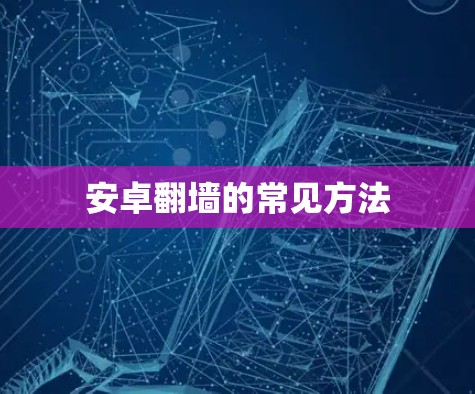 安卓翻墙的常见方法