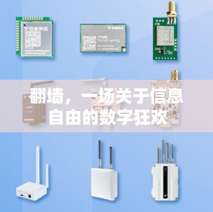 翻墙,一场关于信息自由的数字狂欢