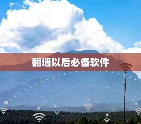 翻墙以后必备软件