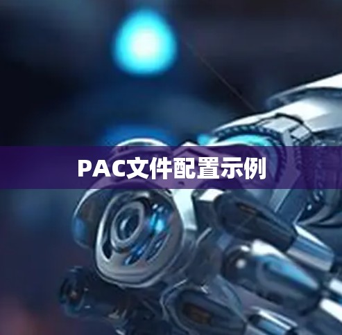 PAC文件配置示例