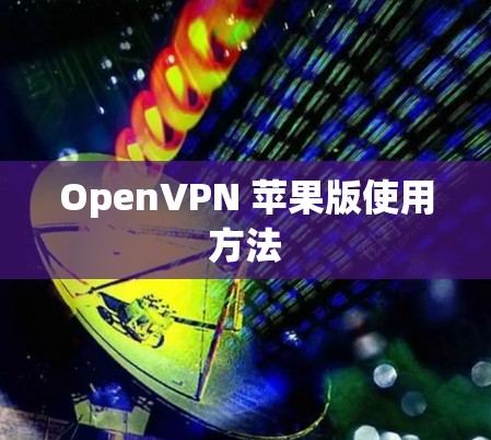 OpenVPN 苹果版使用方法