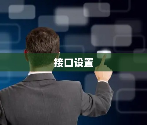 接口设置 接口设置