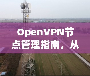 OpenVPN节点管理指南,从规划到维护的全流程 OpenVPN节点管理指南,从规划到维护的全流程