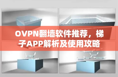 OVPN翻墙软件推荐，梯子APP解析及使用攻略