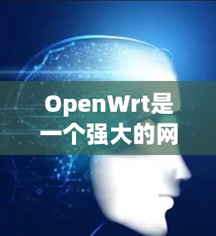 OpenWrt是一个强大的网络设备管理工具，提供了多种命令行工具来帮助用户管理和配置网络设备。以下是对这些工具的详细介绍和使用方法