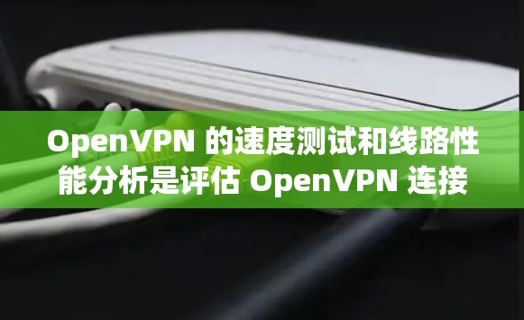 OpenVPN 的速度测试和线路性能分析是评估 OpenVPN 连接质量和稳定性的重要步骤。以下是关于如何进行 OpenVPN 速度测试和线路性能分析的详细指南