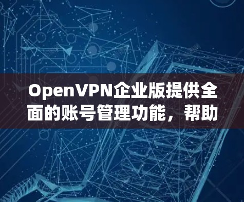 OpenVPN企业版提供全面的账号管理功能,帮助企业有效管理和监控用户访问权限。以下是详细的账号管理方法