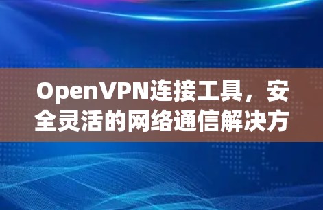 OpenVPN连接工具，安全灵活的网络通信解决方案