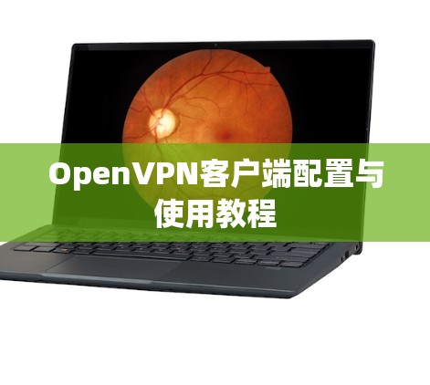 OpenVPN客户端配置与使用教程