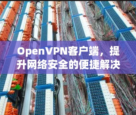 OpenVPN客户端，提升网络安全的便捷解决方案