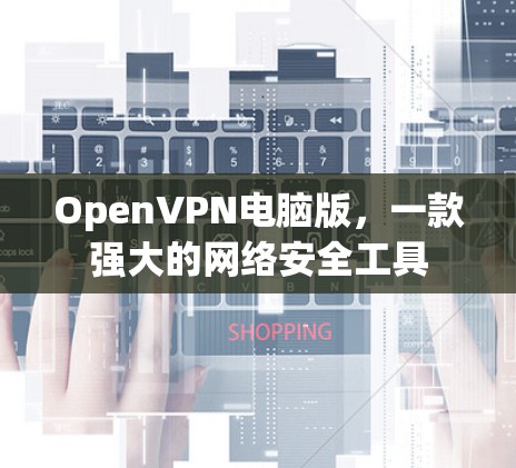 OpenVPN电脑版，一款强大的网络安全工具