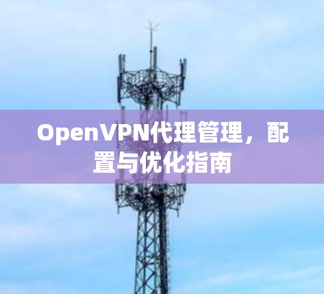 OpenVPN代理管理，配置与优化指南