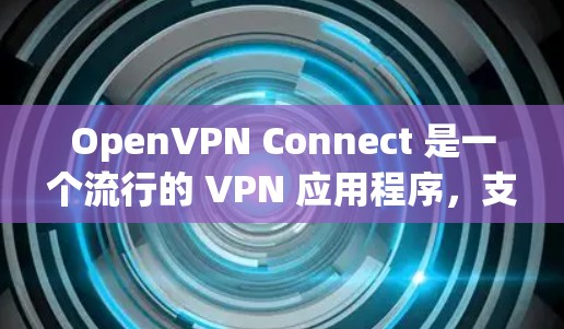 OpenVPN Connect 是一个流行的 VPN 应用程序,支持在手机上设置 VPN 连接。以下是 OpenVPN Connect 安装和设置的详细步骤