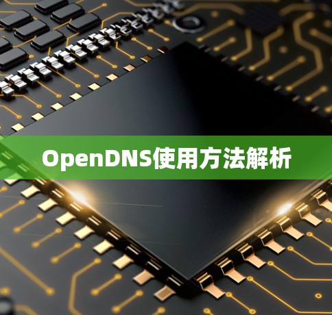 OpenDNS使用方法解析