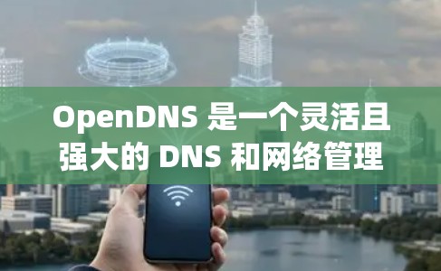OpenDNS 是一个灵活且强大的 DNS 和网络管理平台，能够帮助用户管理 DNS 记录、网络流量、安全设置等。以下是一个 OpenDNS 配置教程，分步骤指导如何配置 OpenDNS