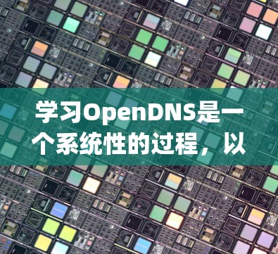 学习OpenDNS是一个系统性的过程，以下是分步骤的指南，帮助您逐步掌握OpenDNS的使用方法