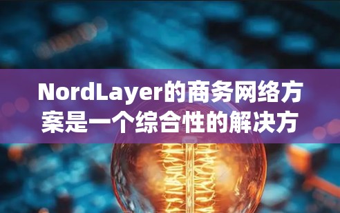 NordLayer的商务网络方案是一个综合性的解决方案,旨在为企业用户提供高度安全、灵活和易于管理的网络环境。以下是该方案的详细分析