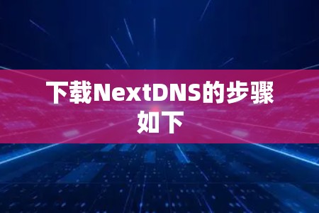 下载NextDNS的步骤如下