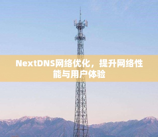 NextDNS网络优化，提升网络性能与用户体验