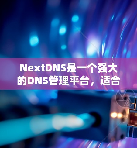 NextDNS是一个强大的DNS管理平台，适合需要自定义DNS解析和管理的用户。以下是使用NextDNS的分步指南