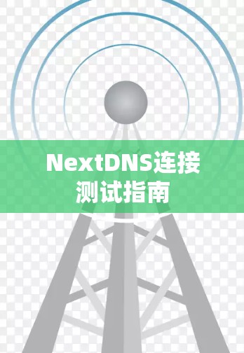 NextDNS连接测试指南