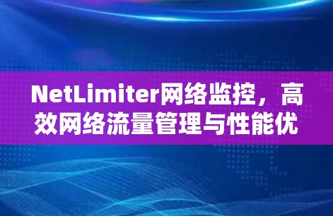 NetLimiter网络监控,高效网络流量管理与性能优化
