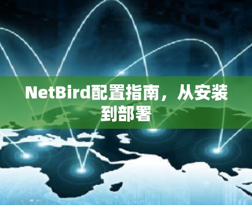 NetBird配置指南，从安装到部署