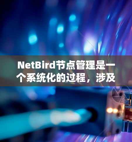 NetBird节点管理是一个系统化的过程，涉及多个步骤和知识点。以下是对NetBird节点管理的总结和建议