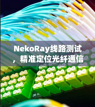 NekoRay线路测试，精准定位光纤通信问题