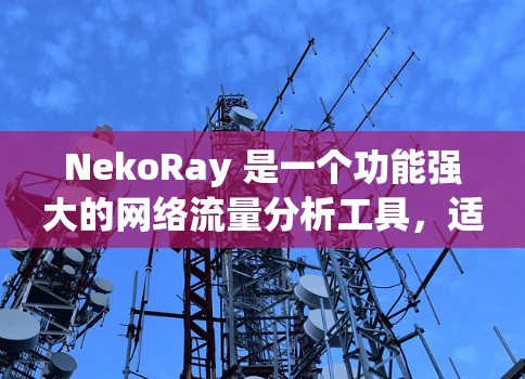 NekoRay 是一个功能强大的网络流量分析工具,适用于网络优化、安全监控等多种场景。以下是使用 NekoRay 的分步指南 NekoRay 是一个功能强大的网络流量分析工具,适用于网络优化、安全监控等多种场景。以下是使用 NekoRay 的分步指南