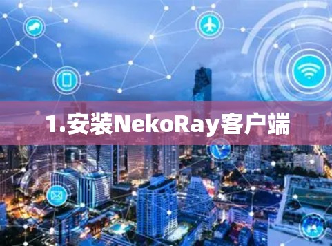 1.安装NekoRay客户端