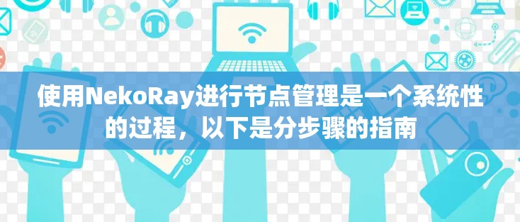 使用NekoRay进行节点管理是一个系统性的过程，以下是分步骤的指南