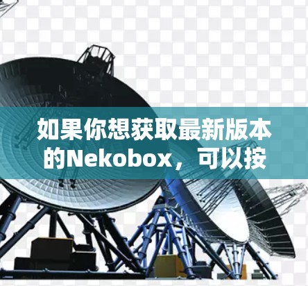 如果你想获取最新版本的Nekobox,可以按照以下步骤操作