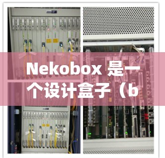 Nekobox 是一个设计盒子(box design)的工具,用户可以通过其官网或相关平台下载和使用。以下是Nekobox下载的基本步骤