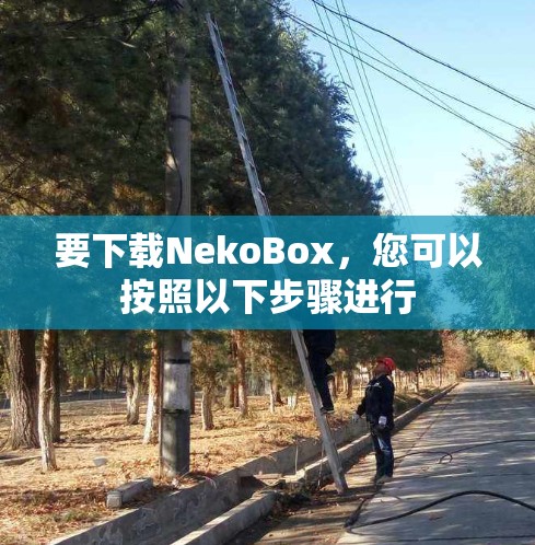 要下载NekoBox，您可以按照以下步骤进行