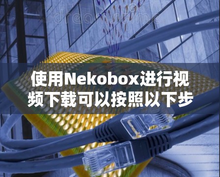 使用Nekobox进行视频下载可以按照以下步骤进行