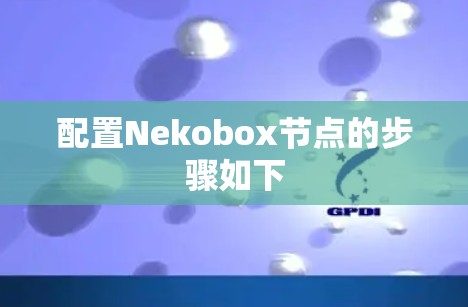 配置Nekobox节点的步骤如下