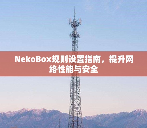 NekoBox规则设置指南，提升网络性能与安全