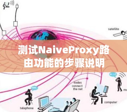 测试NaiveProxy路由功能的步骤说明 测试NaiveProxy路由功能的步骤说明