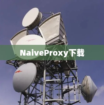 NaiveProxy下载